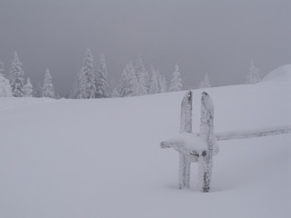 zima na hali © GKor