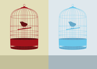 two bird cage