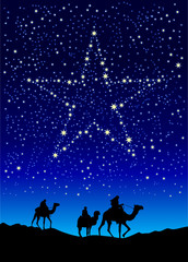 christmas star on sky