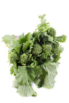 Green rapini