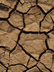 Cracked earth after drought