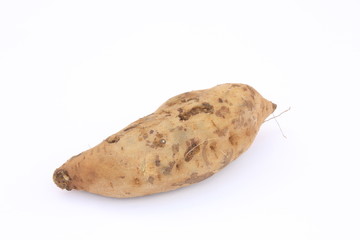 Sweet potato / 番薯