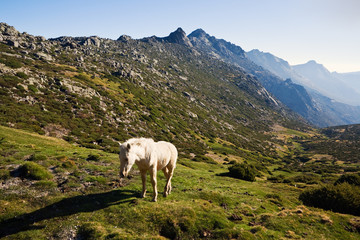 Sierra de la Paramera