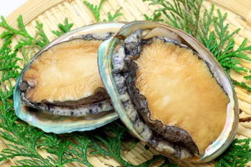 Deurstickers abalone © Reika