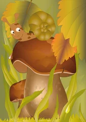 Wallpaper murals Forest animals wood mushrooms and a snail