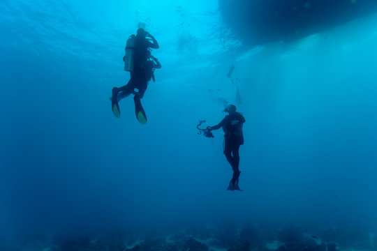 plong&eacute;e descente