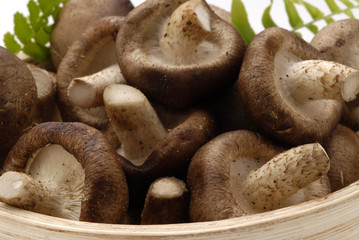 Shiitake mushrooms.