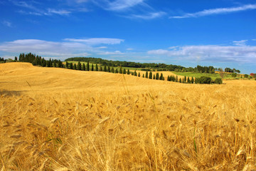 in the country