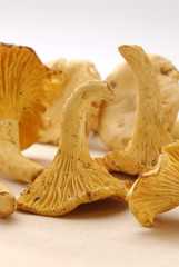 Chanterelle mushrooms.