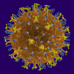 virus H1N1