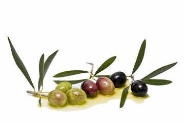 Aceitunas de diferentes variedades.