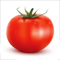 Realistic vector Tomato - 18879250