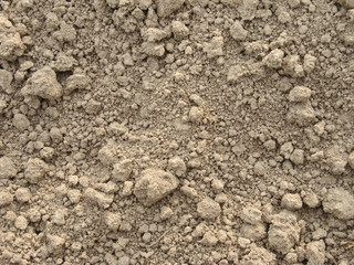 dry soil
