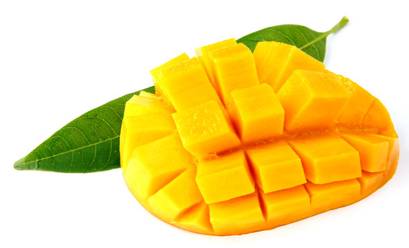 2 908 Best Mangue Images Stock Photos Vectors Adobe Stock