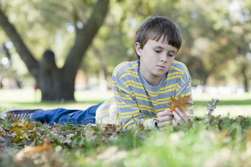 Young Boy in Park