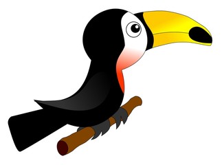 Toucan