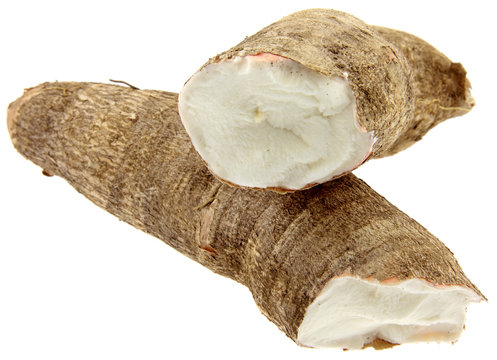 manioc, Manihot esculenta, tubercule tropical fond blanc