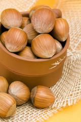 pot full of hazelnuts