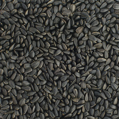 seeds background