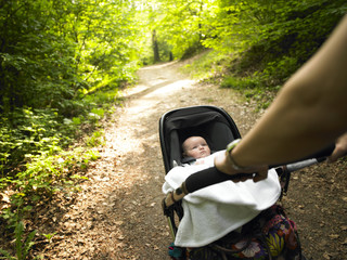 Parent and Baby Taking a Walk in the Woods