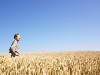 Naklejka na ściany i meble Man in Wheat Field
