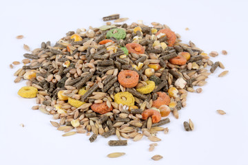 Futter für Nagetiere