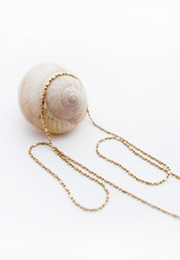 The snail and jewelry.