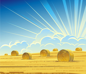 Summer rural landscape with hay © Rustic