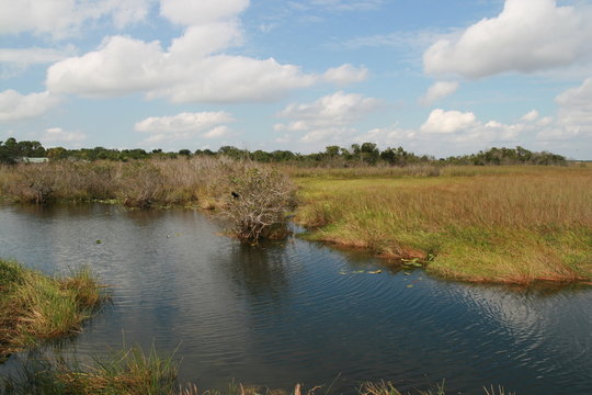 Everglades NAtionalpark Sumpfgebiet, Florida USA