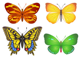 Set of butterflies