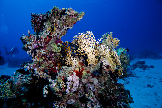 paysage sous marin 4