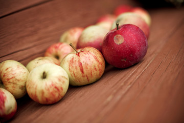 garden apples