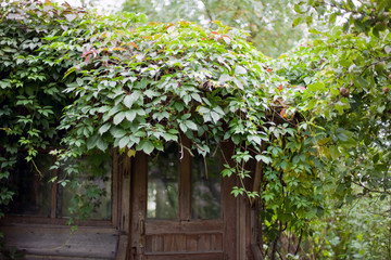 entrance of old abandoned garden house