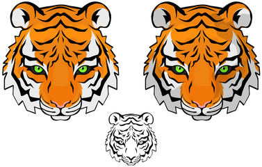 Tiger Head