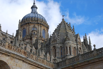 Fototapeta na wymiar Catedral Vieja de Salamanca