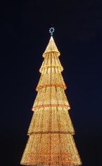 Beautiful tall Christmas tree (at sunset)