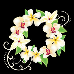 Hawaii vector floral wreath with frangipani flowers and orchids