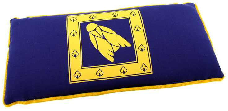 coussin bleu cigale appui-t&ecirc;te transat fond blanc