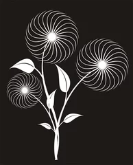 Abwaschbare Fototapete Blumen schwarz und weiß Blumendekoration