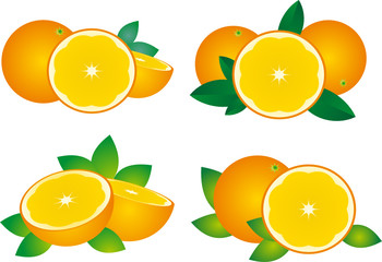 Orange vector
