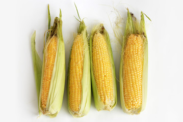 Corncob with husk abreast