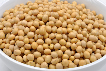 organic soya beans are a good alternative instead of meat