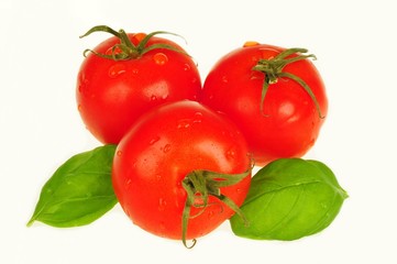 Tomaten