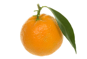 orange with green leaf