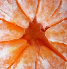 tangerine close up