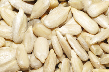 Sonnenblumenkerne