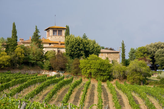 Weingut in der Toskana