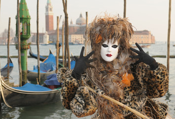 Venice carnival
