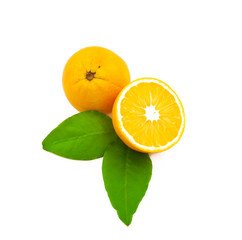 Oranges with leaves on a white background