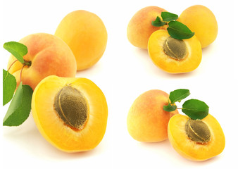 Sweet apricot
